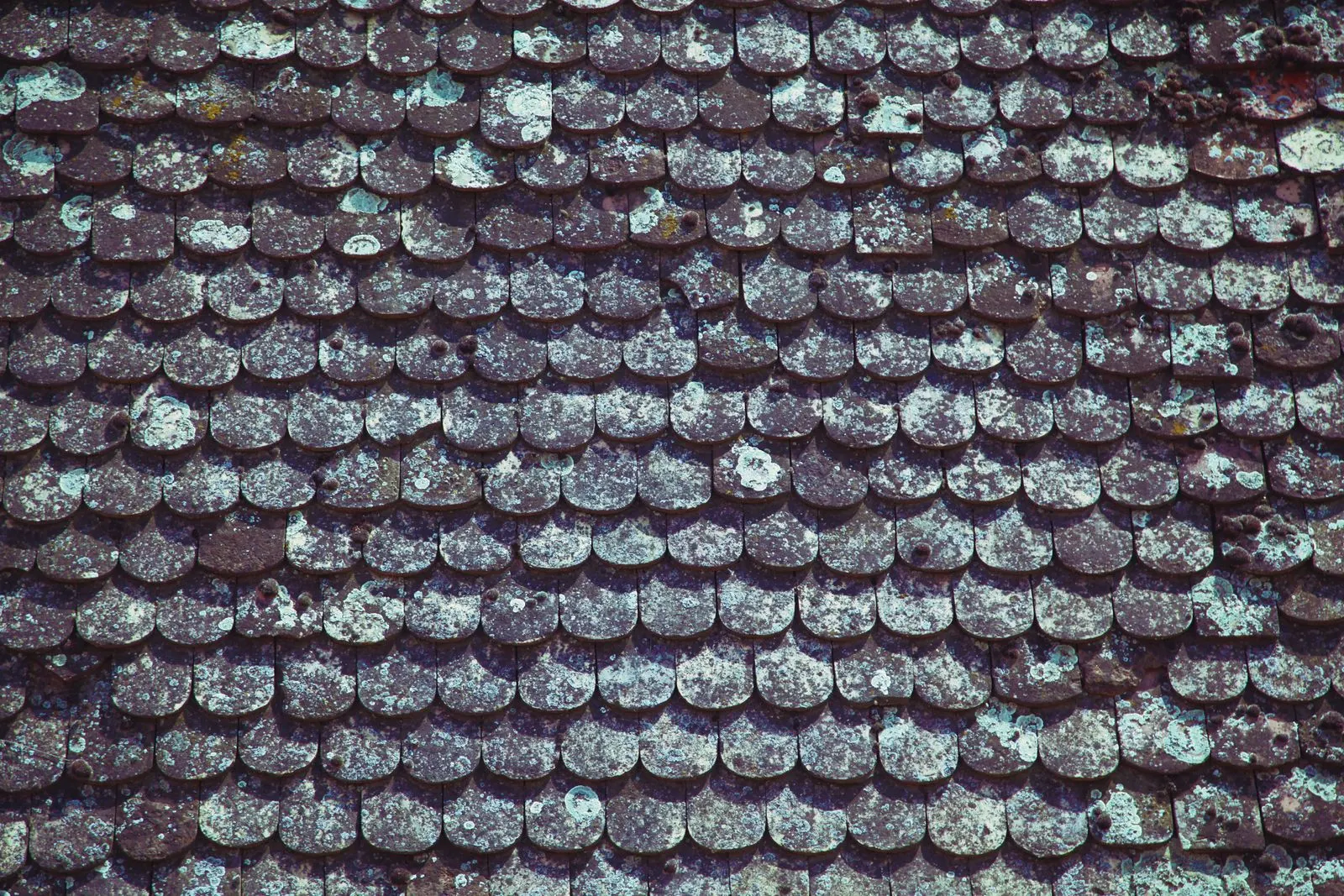 Weathered roof tiles before repair work on a house in Dudley